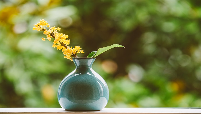 康熙青花翠毛蓝特点 康熙青花翠毛兰