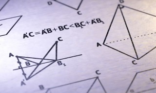 数学的元次是谁提出来的 数学里元次是谁发明的