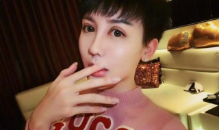 蛇精脸和瓜子脸的区别（蛇精脸和瓜子脸的区别是什么）